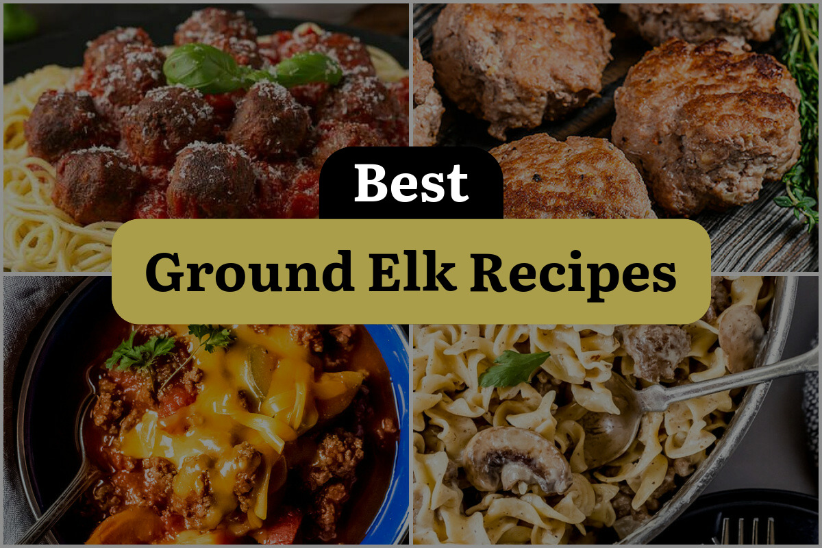 35 Best Ground Elk Recipes