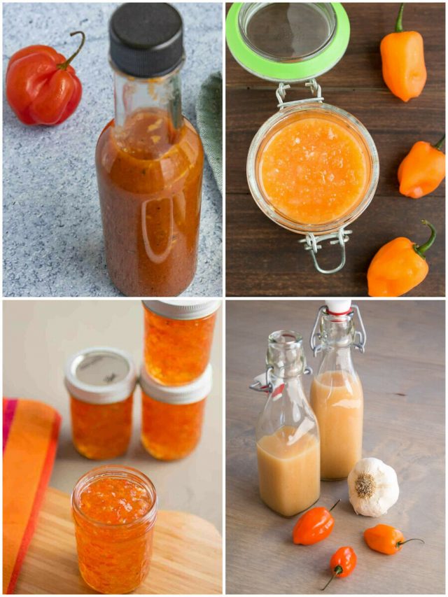 26 Habanero Recipes That Will Set Your Taste Buds On Fire!