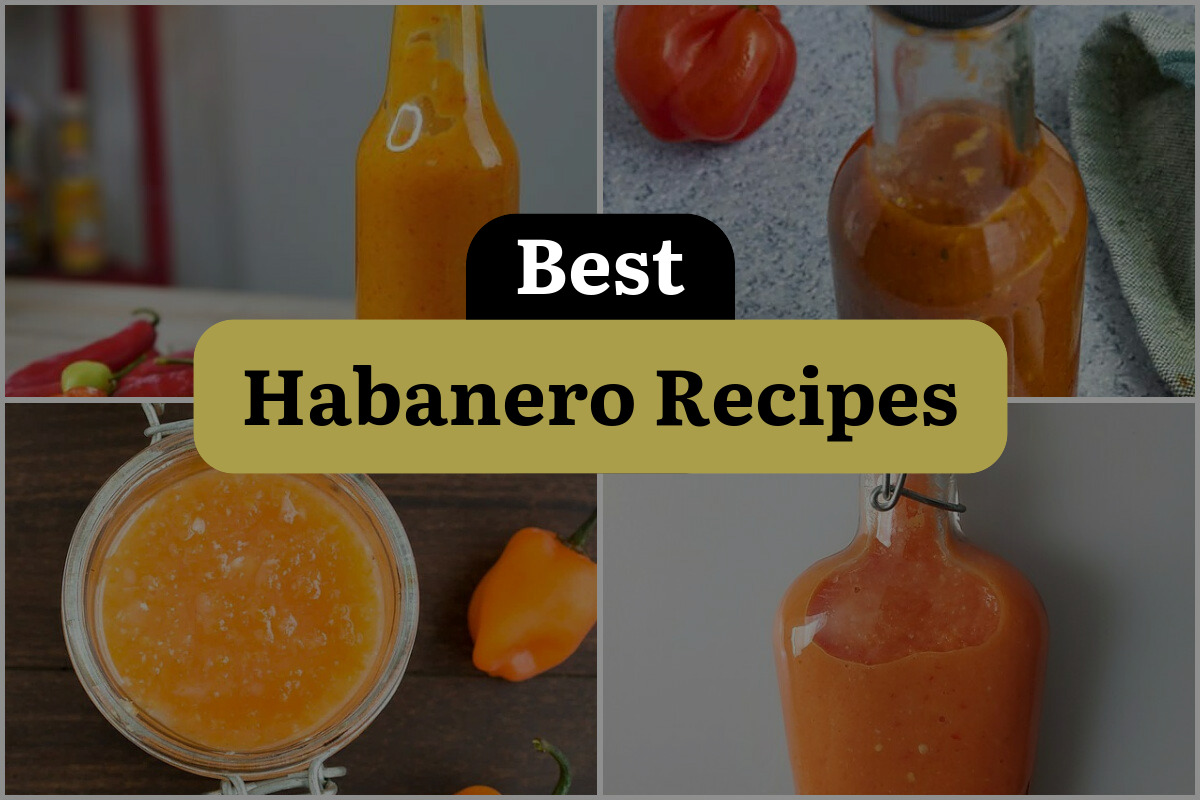28 Best Habanero Recipes