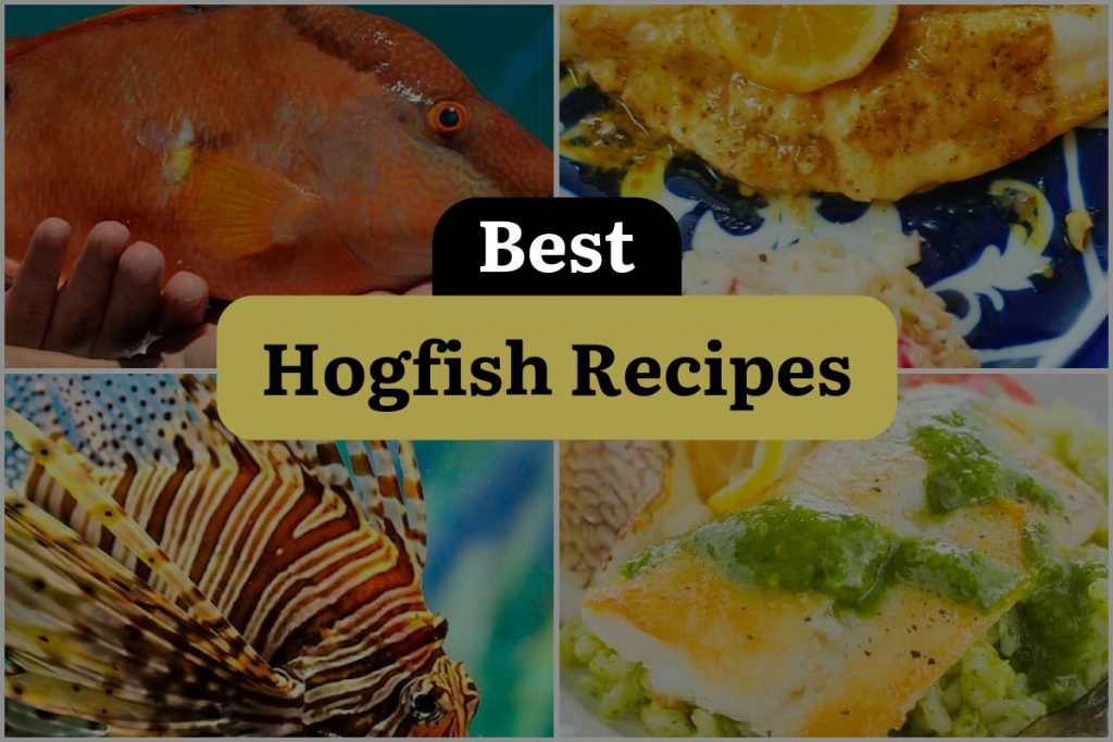 8 Hogfish Recipes That Will Make You Go Hog Wild! DineWithDrinks