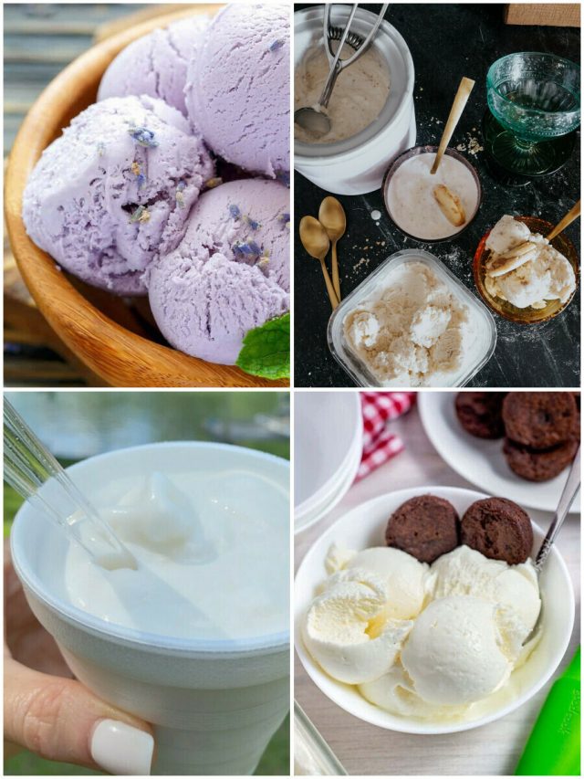 26 Ice Cream Maker Recipes To Satisfy Your Sweet Tooth!
