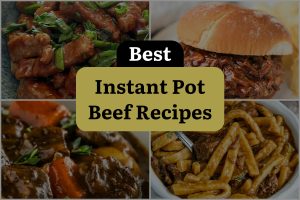 23 Best Instant Pot Beef Recipes