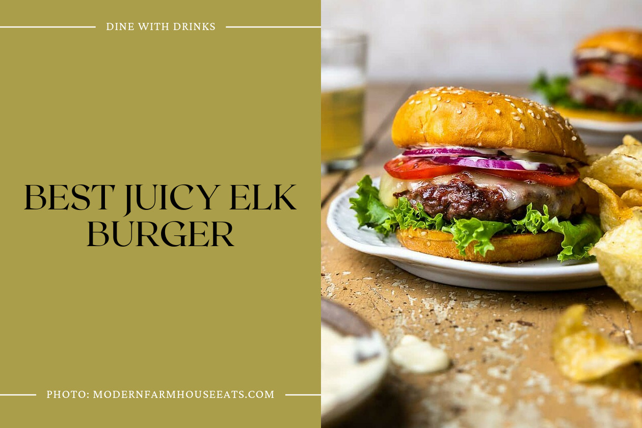 Best Juicy Elk Burger