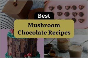 11 Best Mushroom Chocolate Recipes