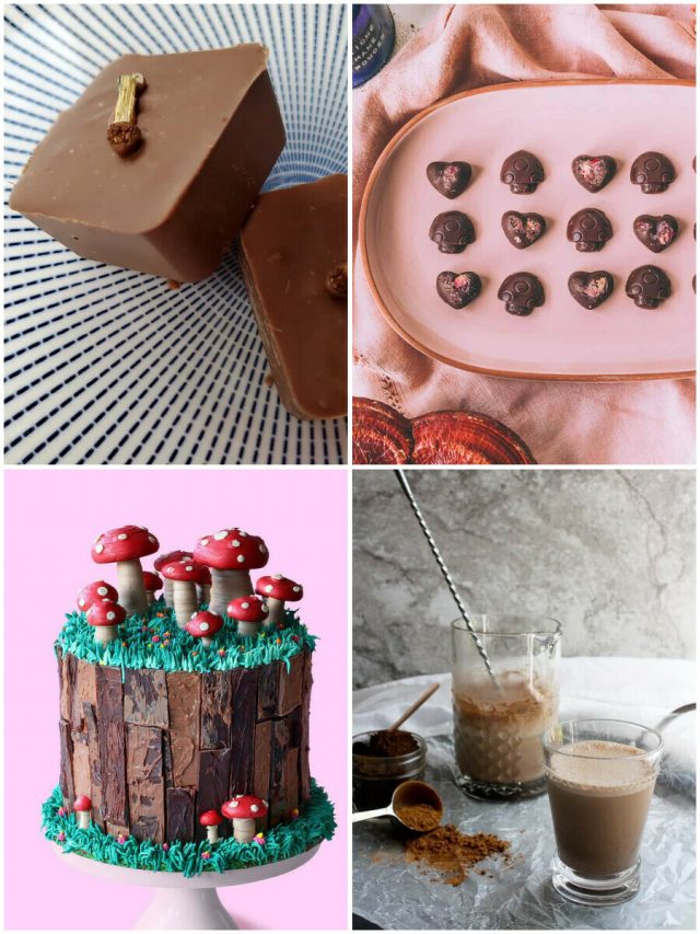 11 Mushroom Chocolate Recipes To Indulge Your Taste Buds!
