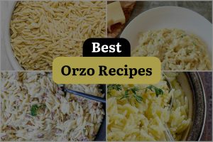 24 Best Orzo Recipes