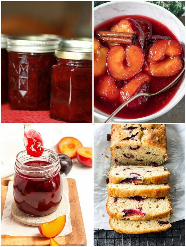 18 Plum Recipes: A Delicious Burst Of Plum-Spiration!