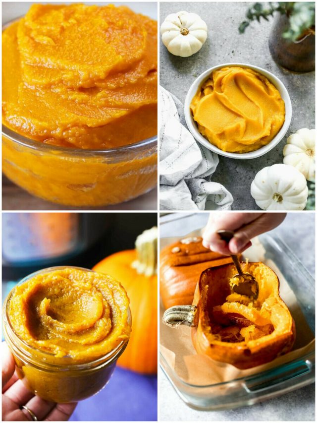 21 Pumpkin Puree Recipes To Spice Up Your Fall Flavors!