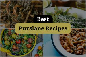 14 Best Purslane Recipes