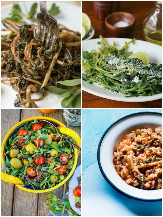 14 Purslane Recipes: From Garden Weed To Culinary Delight!