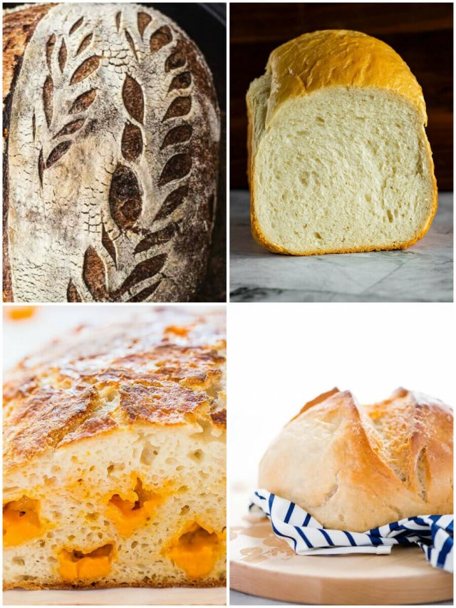 26 Sourdough Recipes To Crave And Rise To New Heights!
