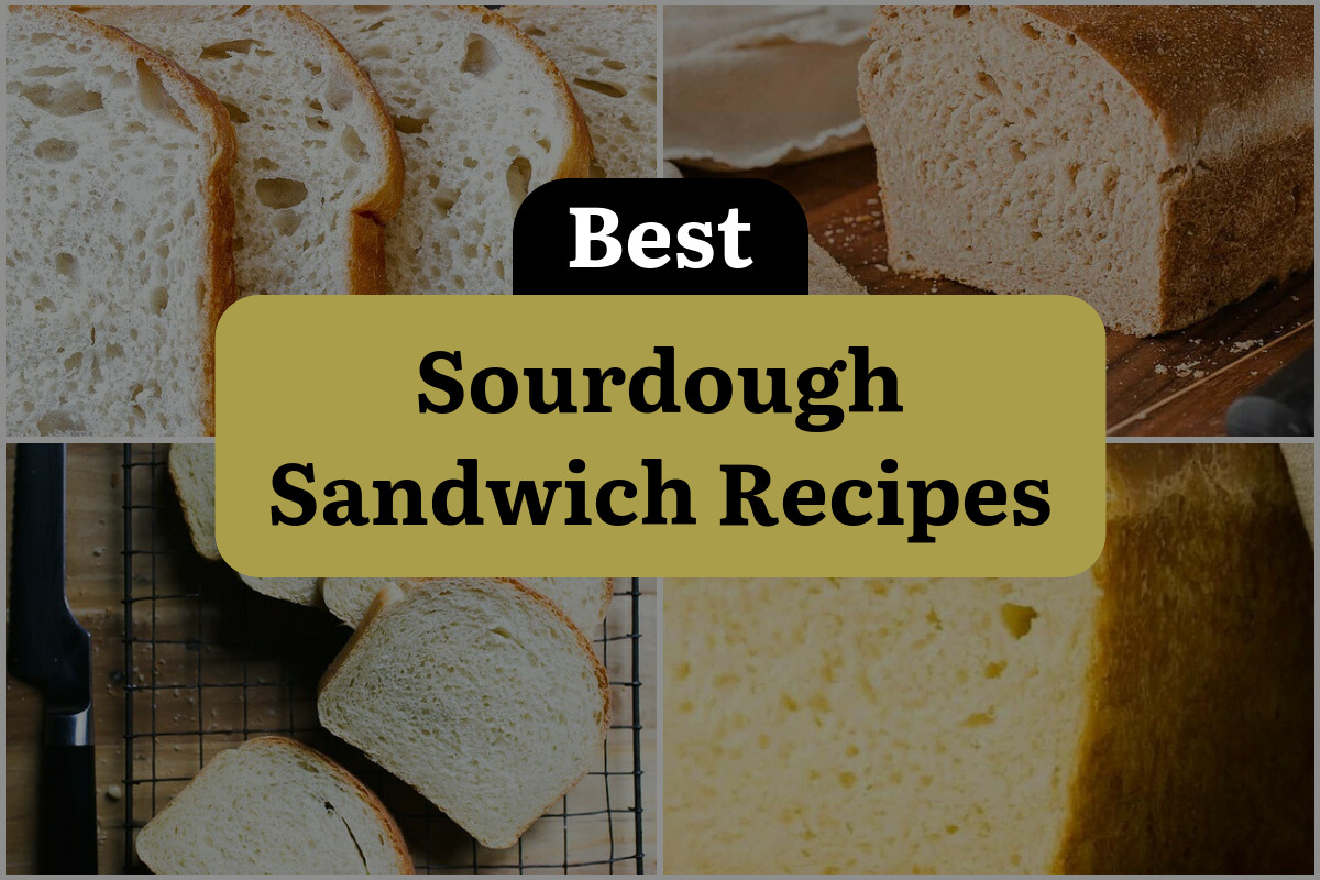 16 Best Sourdough Sandwich Recipes