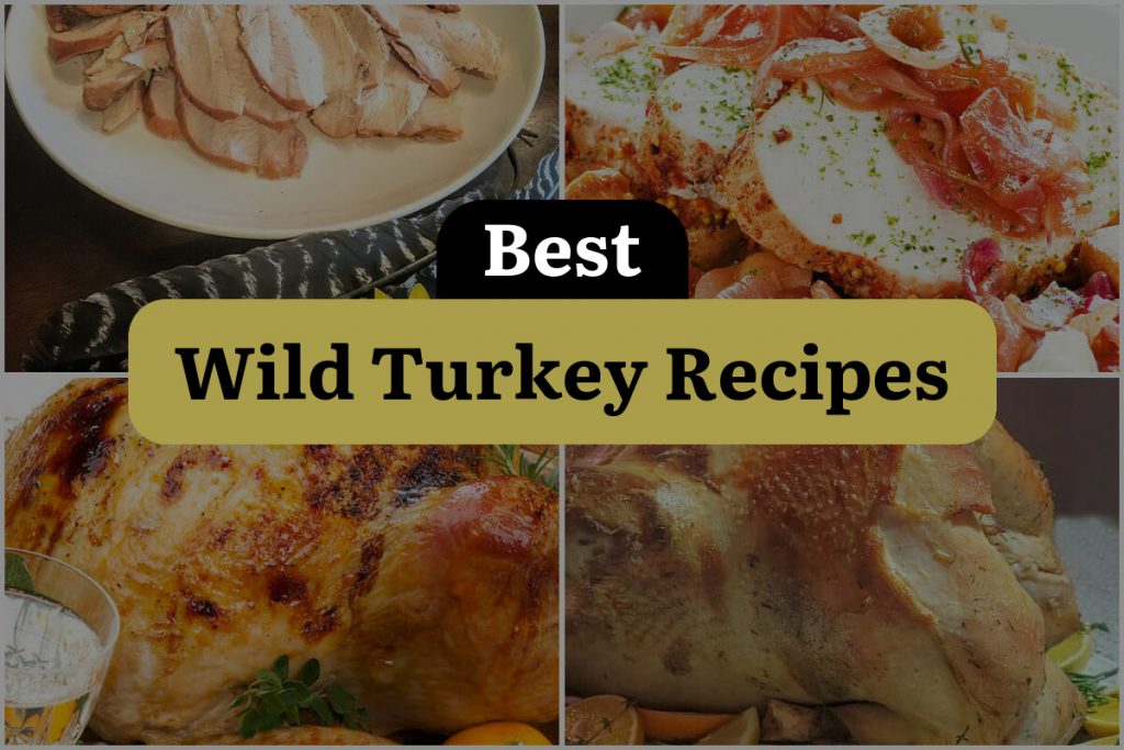 26 Wild Turkey Recipes: From Basic to Breathtaking! | DineWithDrinks