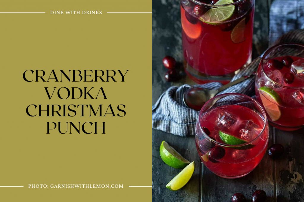 26 Vodka Punch Recipes That Will Make Your Party Pop! | DineWithDrinks