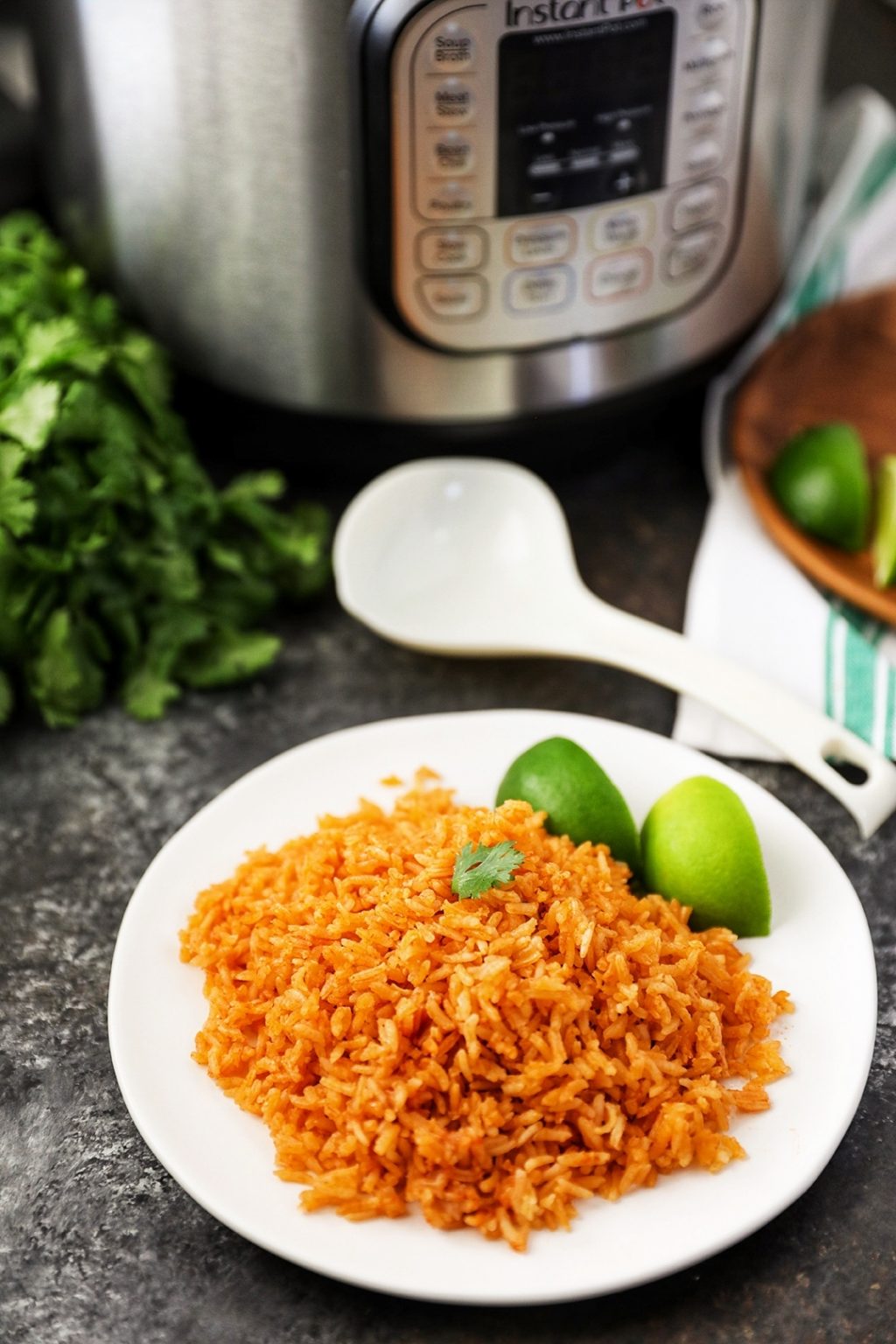 Best mexican instant pot recipes new arrivals