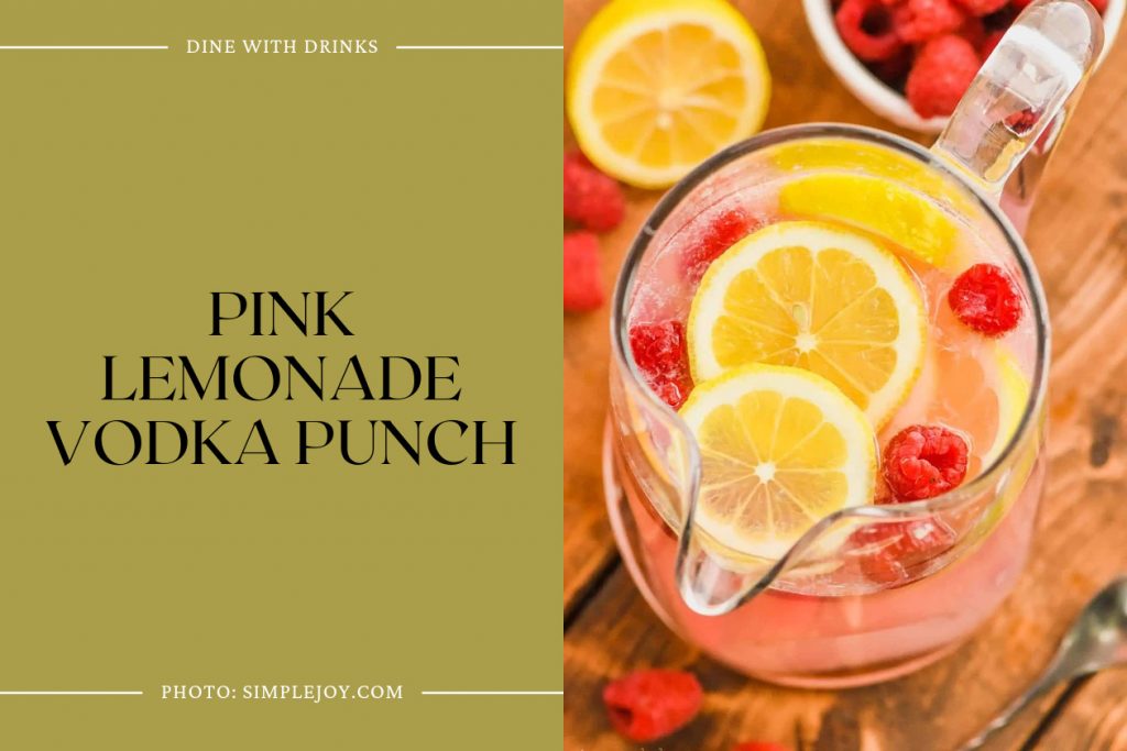 26 Vodka Punch Recipes That Will Make Your Party Pop! | DineWithDrinks