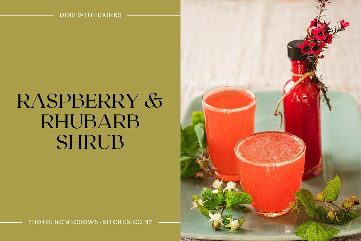 Raspberry & Rhubarb Shrub