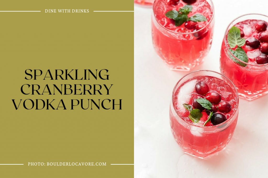 26 Vodka Punch Recipes That Will Make Your Party Pop! | DineWithDrinks