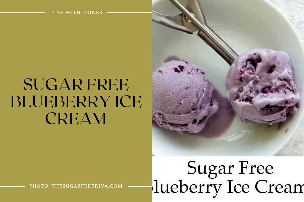 Sugar Free Blueberry Ice Cream