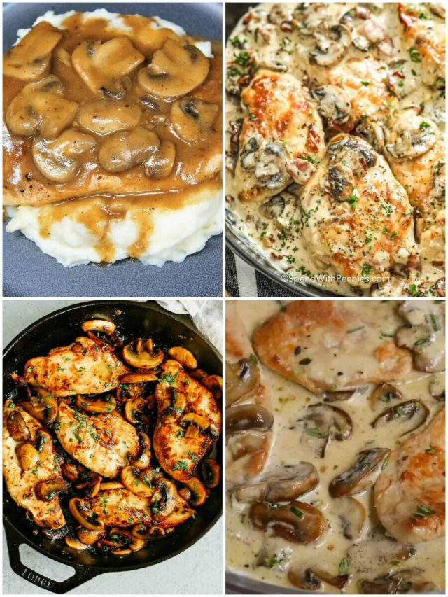 26 Chicken And Mushroom Recipes To Melt Your Taste Buds!