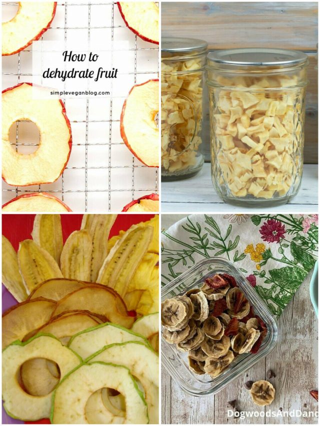 15 Dehydrated Fruit Recipes To Tantalize Your Taste Buds!