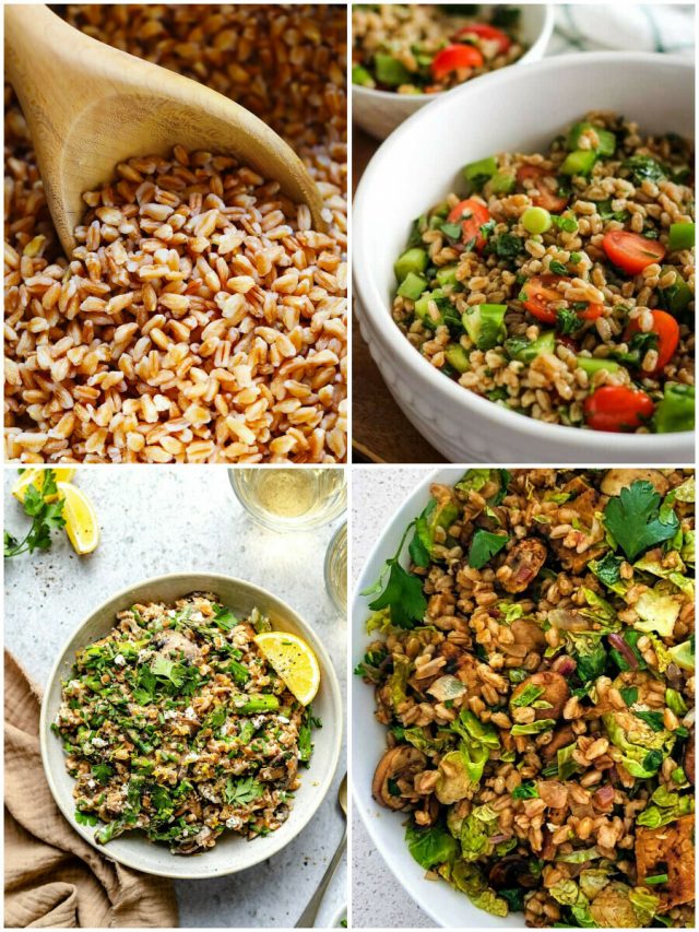26 Farro Recipes: Delicious Dishes To Satisfy Your Taste Buds!