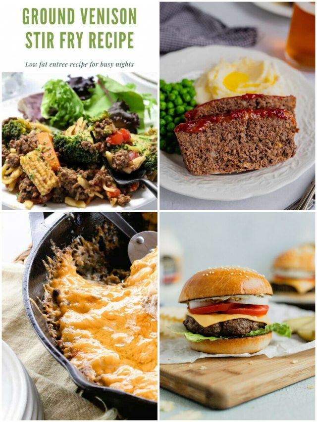 26 Ground Venison Recipes: A Wildly Delicious Adventure!