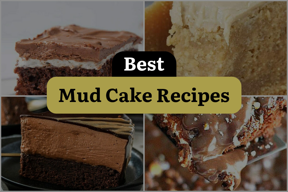 17 Best Mud Cake Recipes