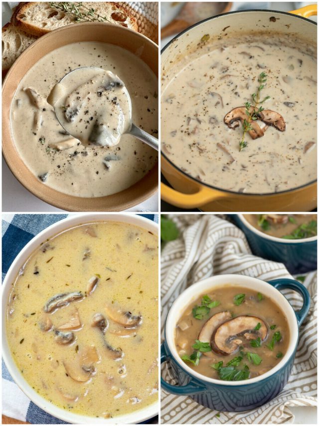 11 Mushroom Soup Recipes That Will Melt Your Taste Buds!