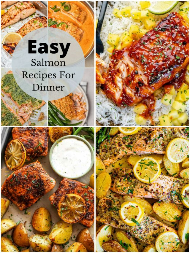 26 Salmon Dinner Recipes To Dive Into Deliciousness!