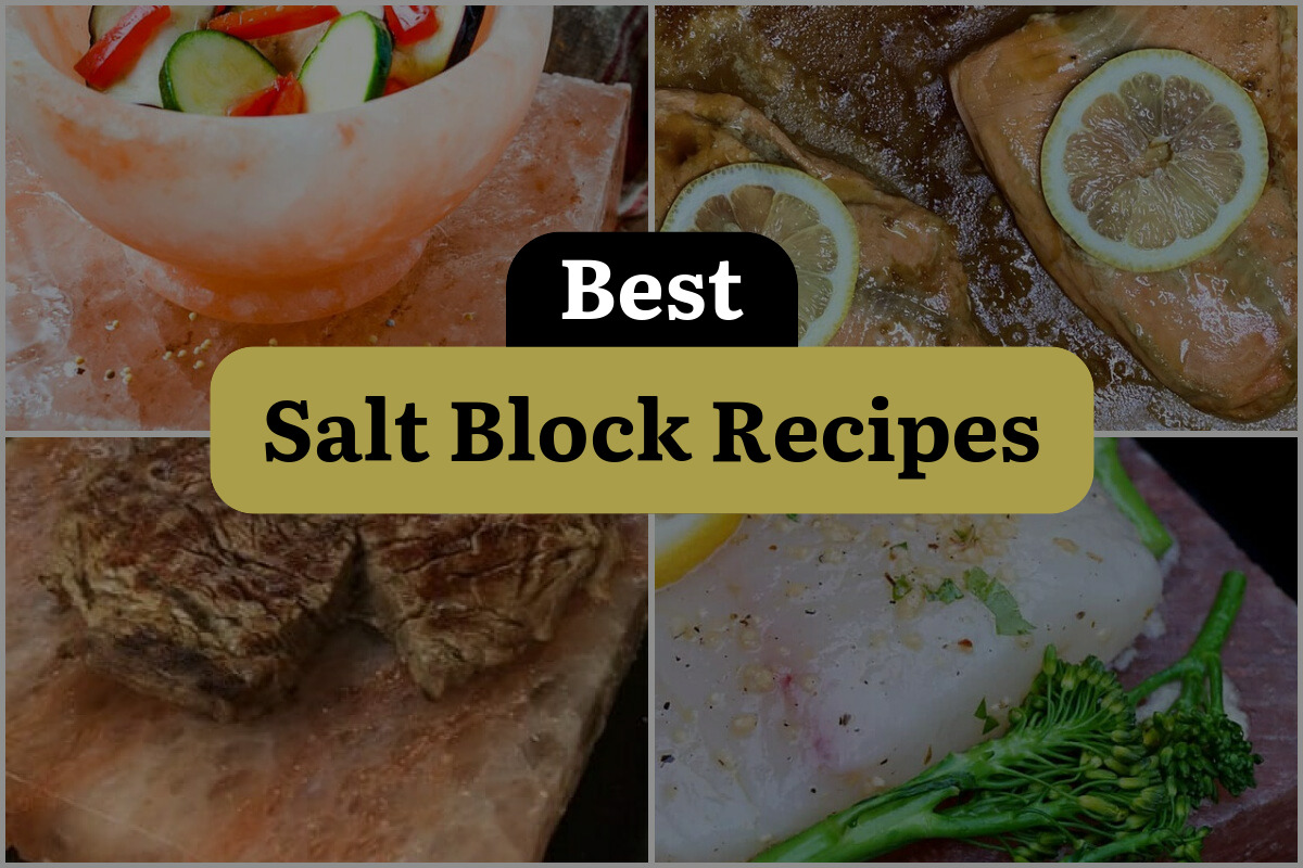 9 Best Salt Block Recipes