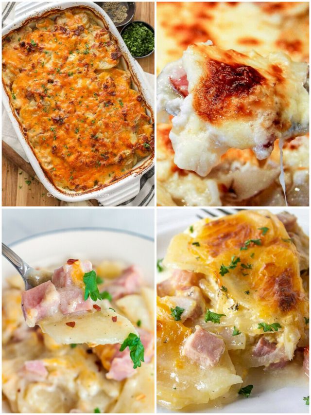 26 Best Scalloped Potatoes And Ham Recipes