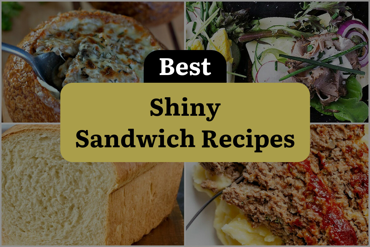 15 Best Shiny Sandwich Recipes
